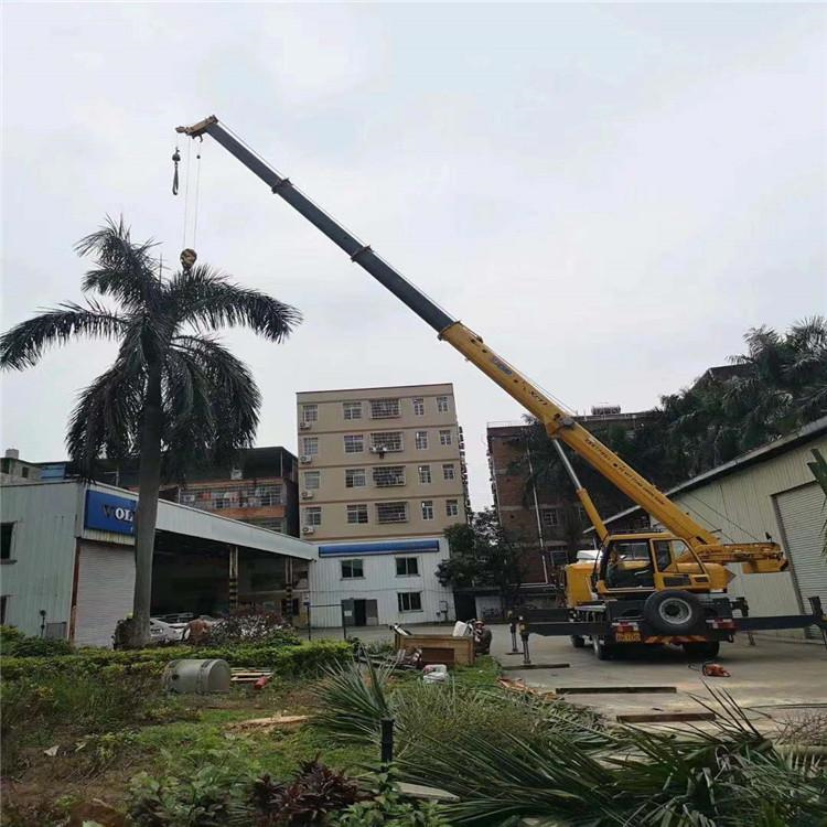 沙溪镇汽车吊出租多少钱？全面解析与市场行情